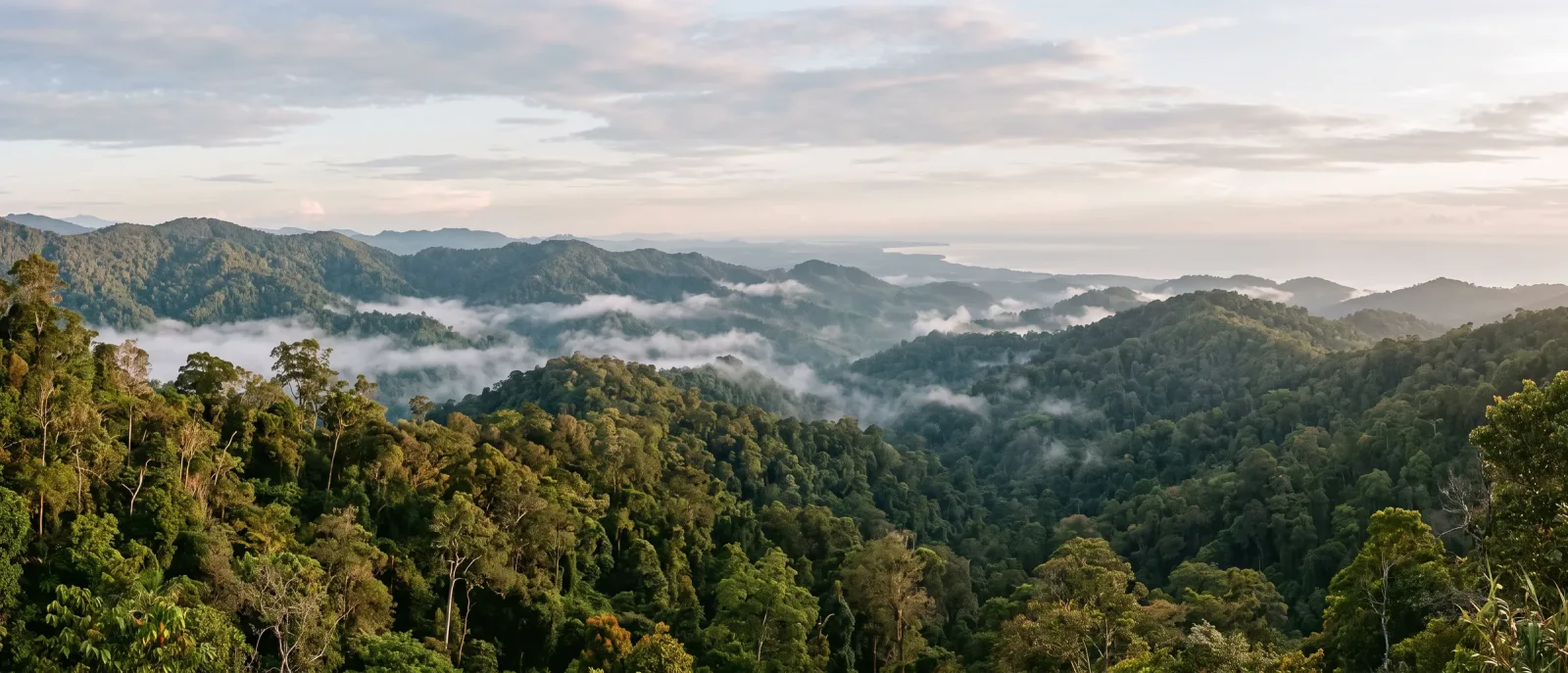 Green hills and low cloud under a soft morning sky